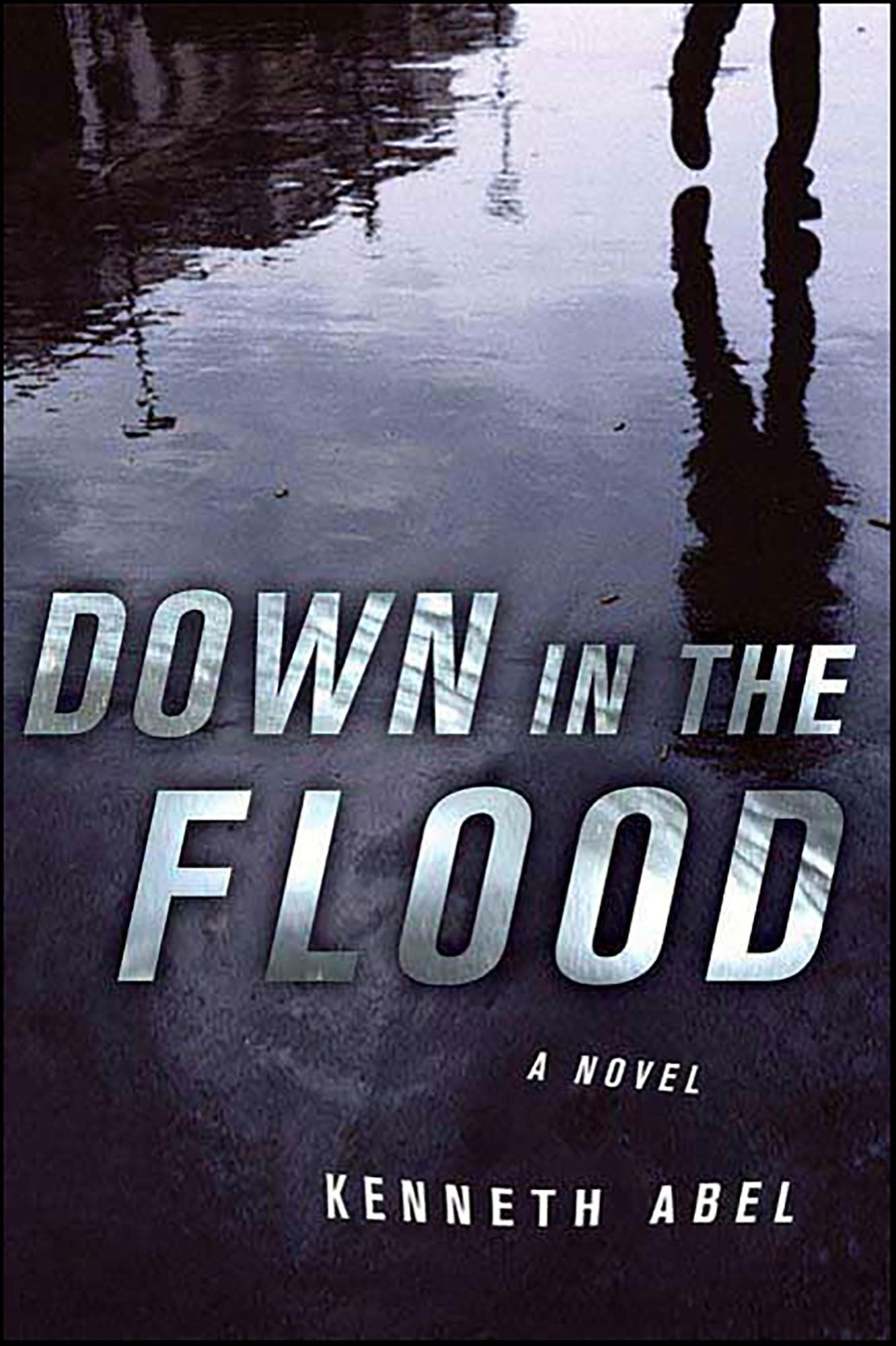 Down in the Flood: A Novel