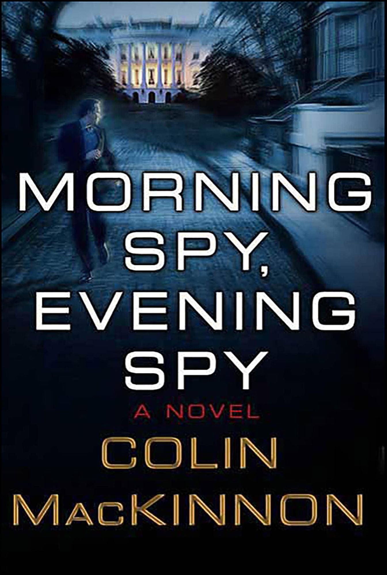 Morning Spy, Evening Spy: A Novel