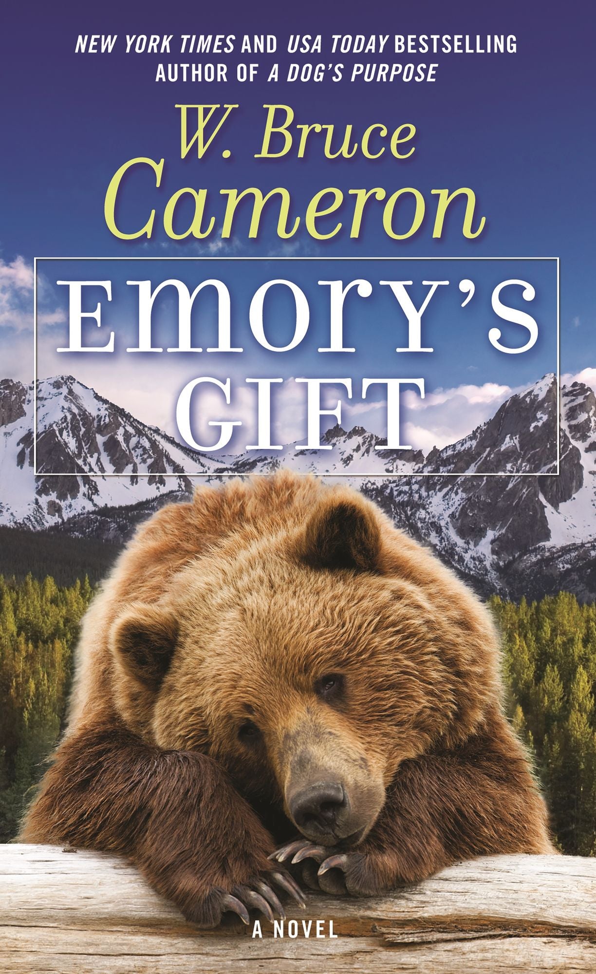 Emory's Gift: A Novel