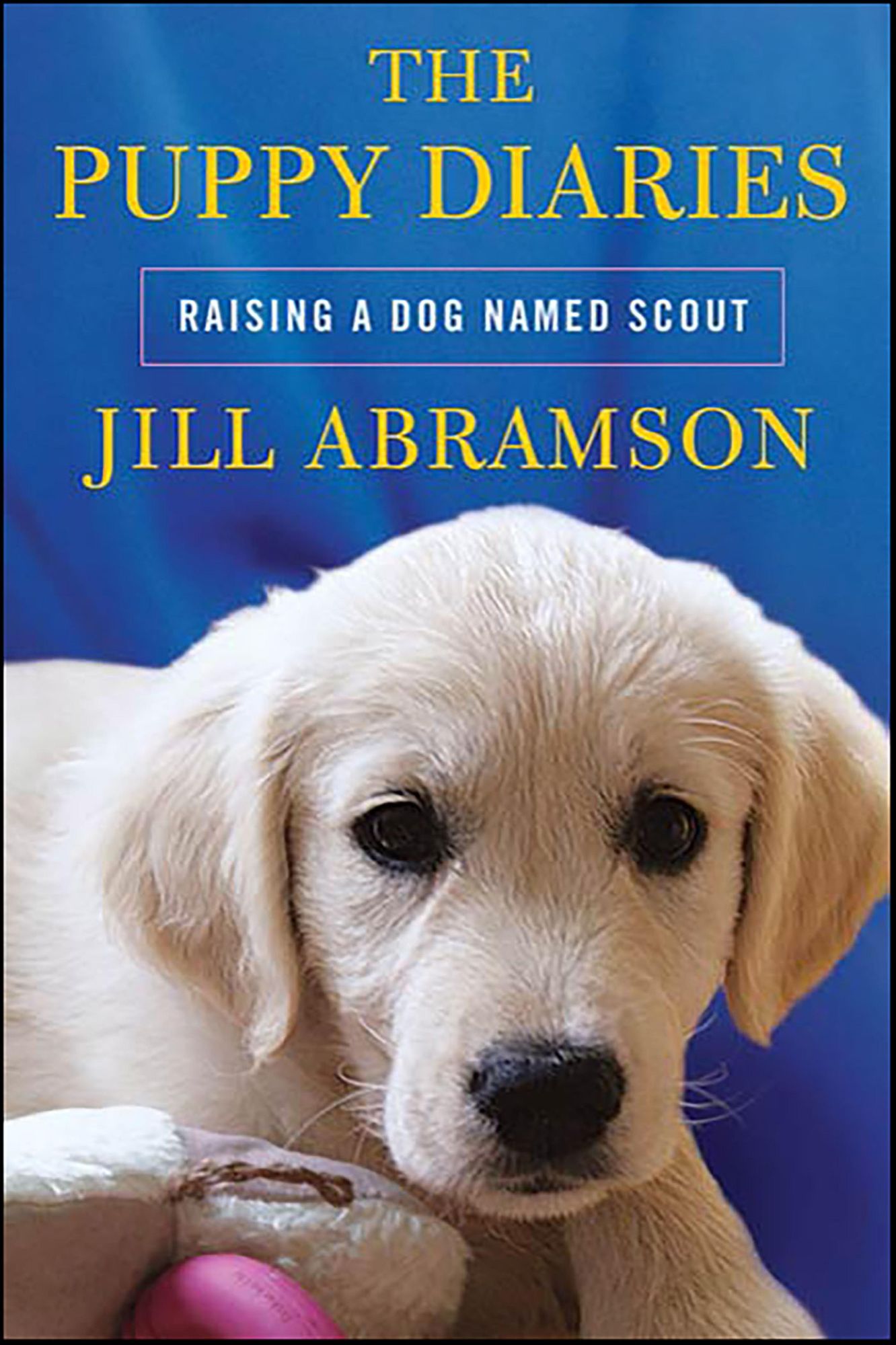 The Puppy Diaries: Raising a Dog Named Scout
