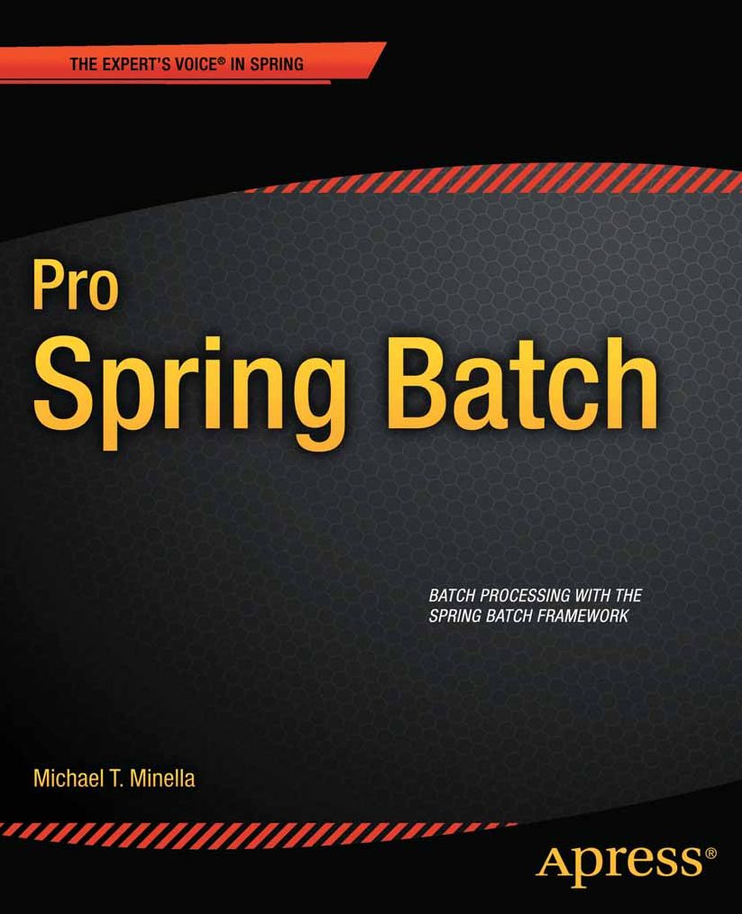 Pro Spring Batch