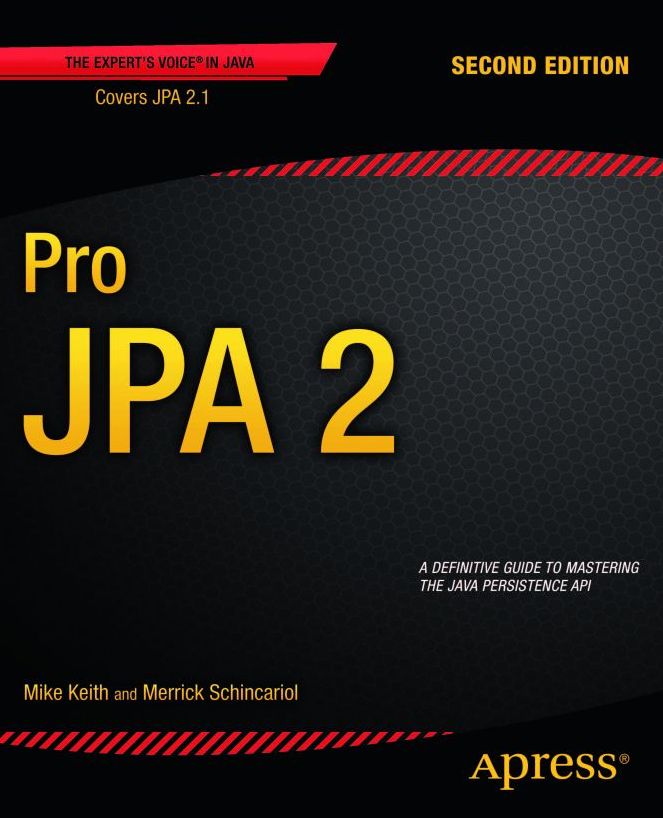 Pro JPA 2