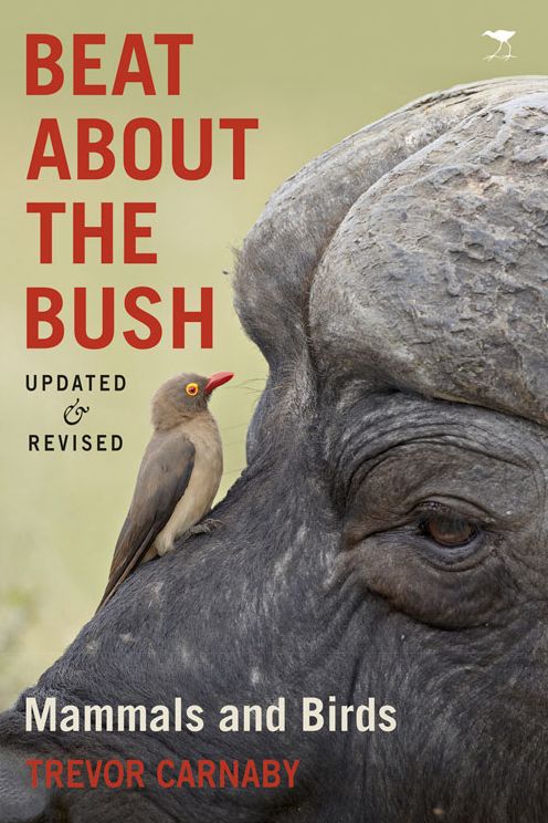 Beat about the Bush: Mammals and Birds