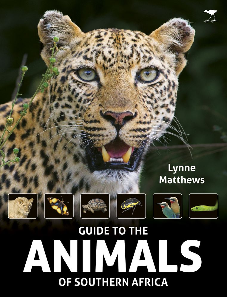 The Guide to the Animals of Southern Africa