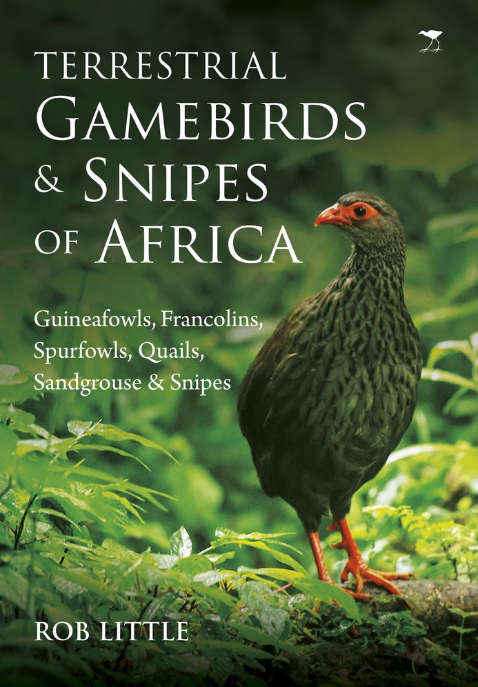 Terrestrial Gamebirds & Snipes of Africa: Guineafowls, Francolins, Spurfowls, Quails, Sandgrouse & Snipes