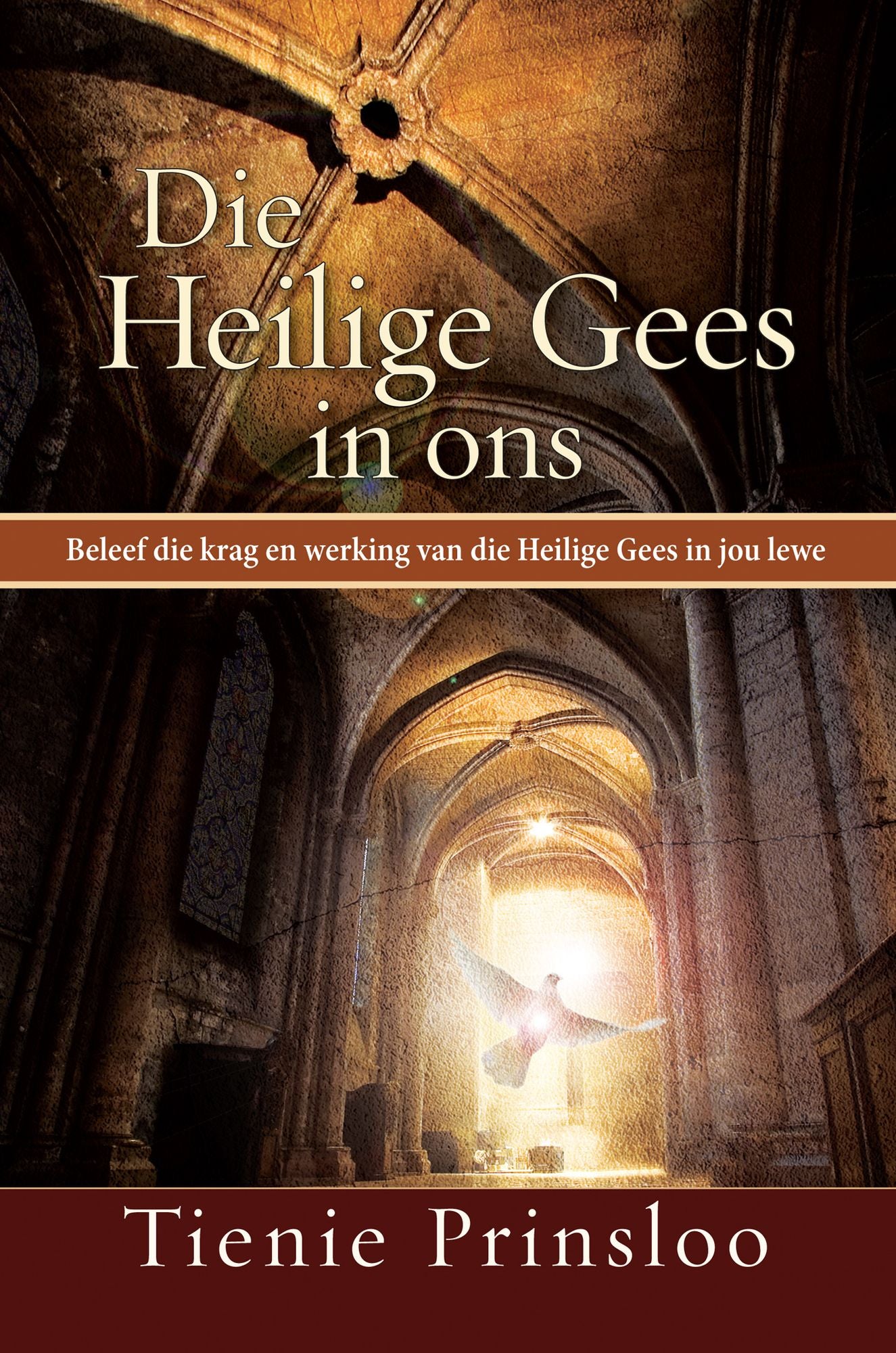 Die Heilige Gees in ons (eBoek): Beleef die krag en werking van die Heilige Gees in jou lewe