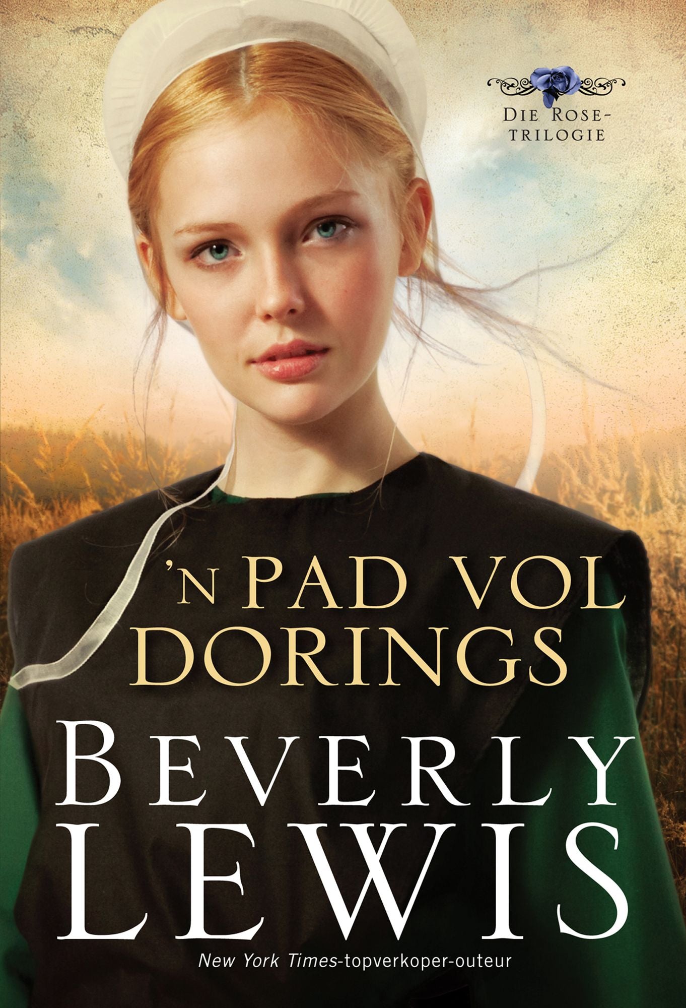 n Pad vol dorings (eBoek)