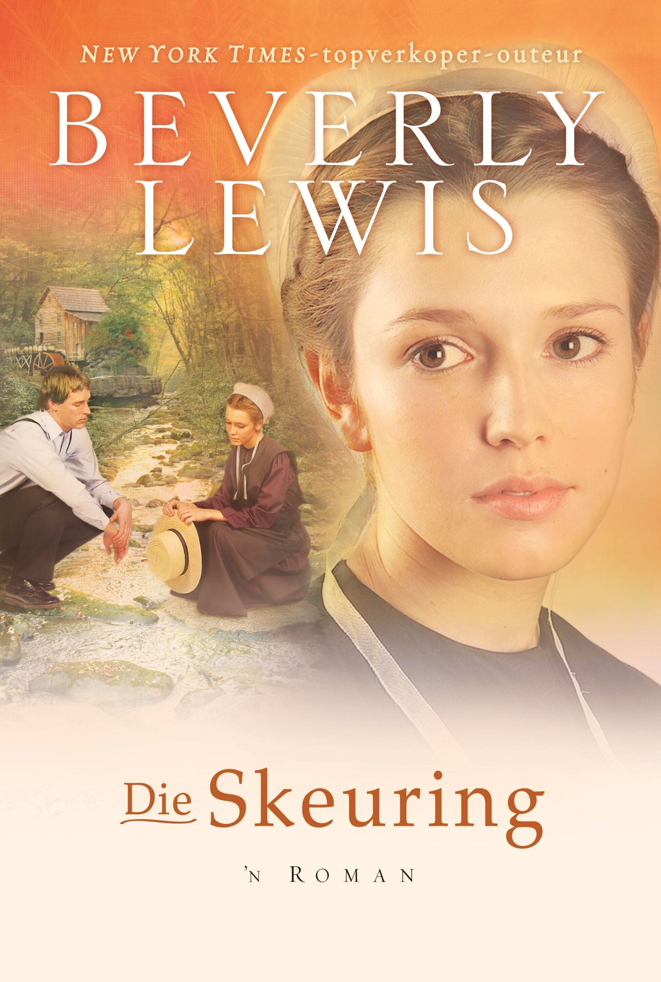 Die skeuring (eBoek)