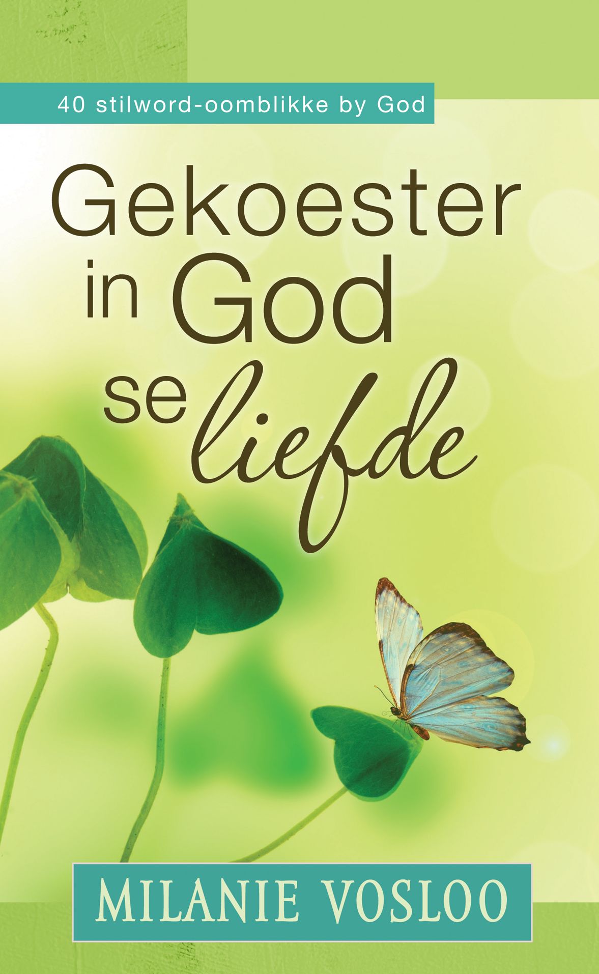 Gekoester in God se liefde (eBoek): 40 stilword-oomblikke by God