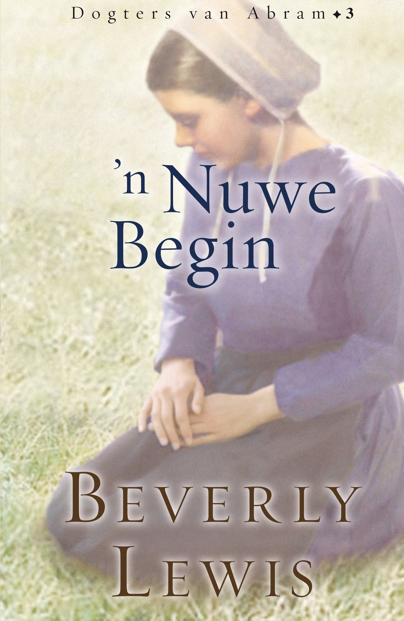 n Nuwe begin (eBoek)
