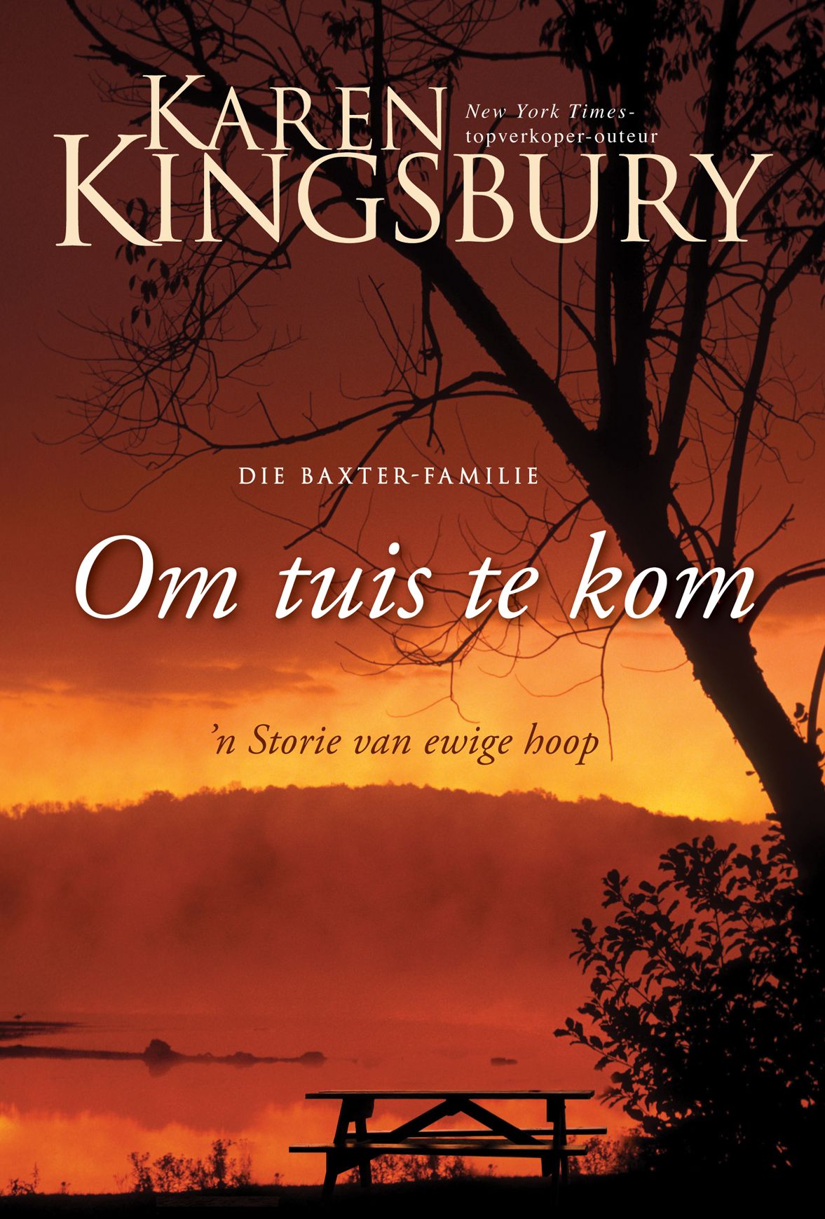 Om tuis te kom (eBoek): n Storie van ewige hoop