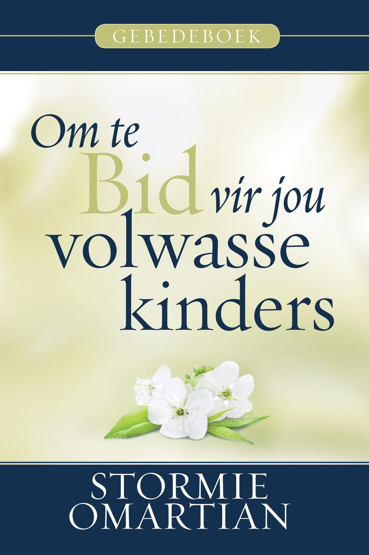 Om te bid vir jou volwasse kinders - Gebedeboek (eBoek)