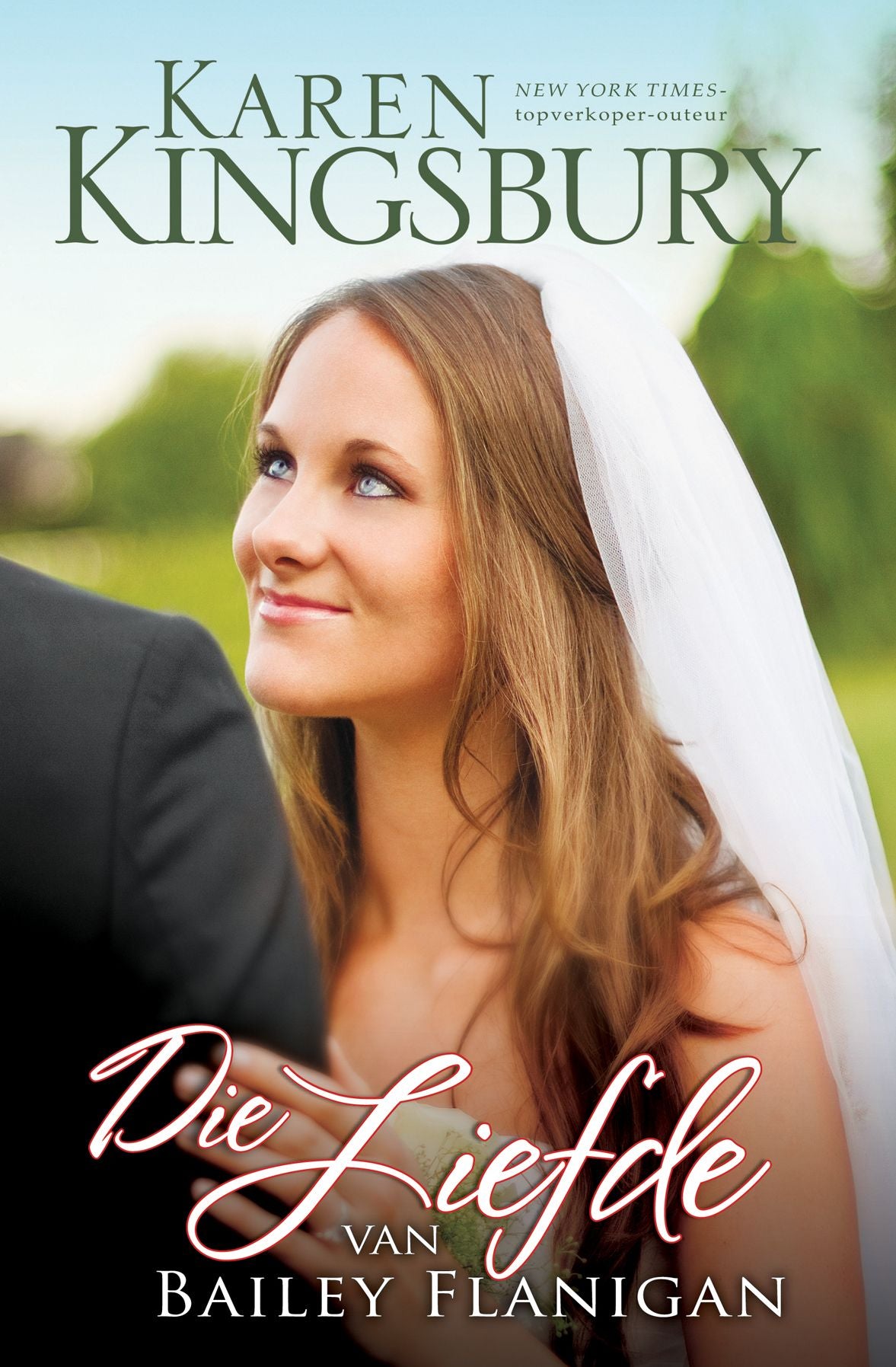Die liefde van Bailey Flanigan (eBoek)