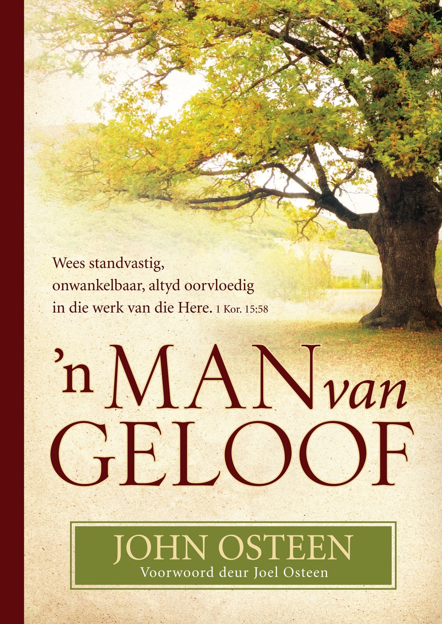 n Man van geloof (eBoek): Wees standvastig, onwankelbaar, altyd oorvloedig in die werk van die Here. 1 Kor. 15:58