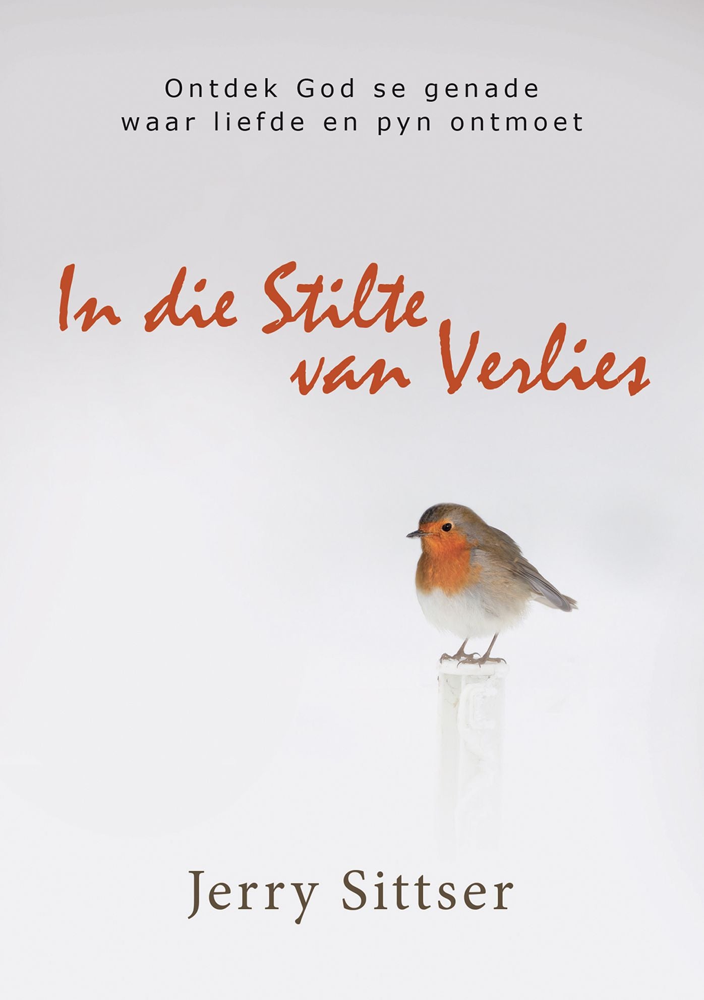 In die stilte van verlies (eBoek): Ontdek God se genade waar liefde en pyn ontmoet