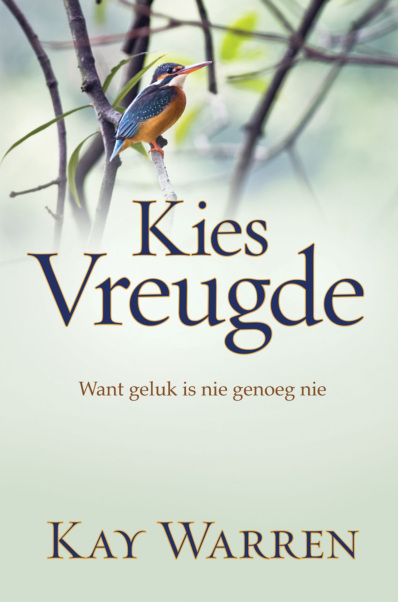 Kies vreugde (eBoek): Want geluk is nie genoeg nie