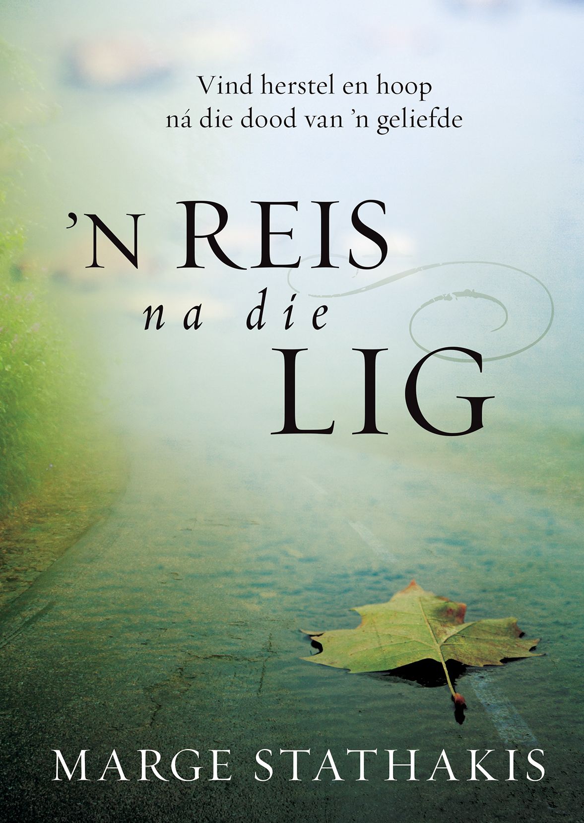 n Reis na die lig (eBoek): Vind herstel en hoop na die dood van 'n geliefde