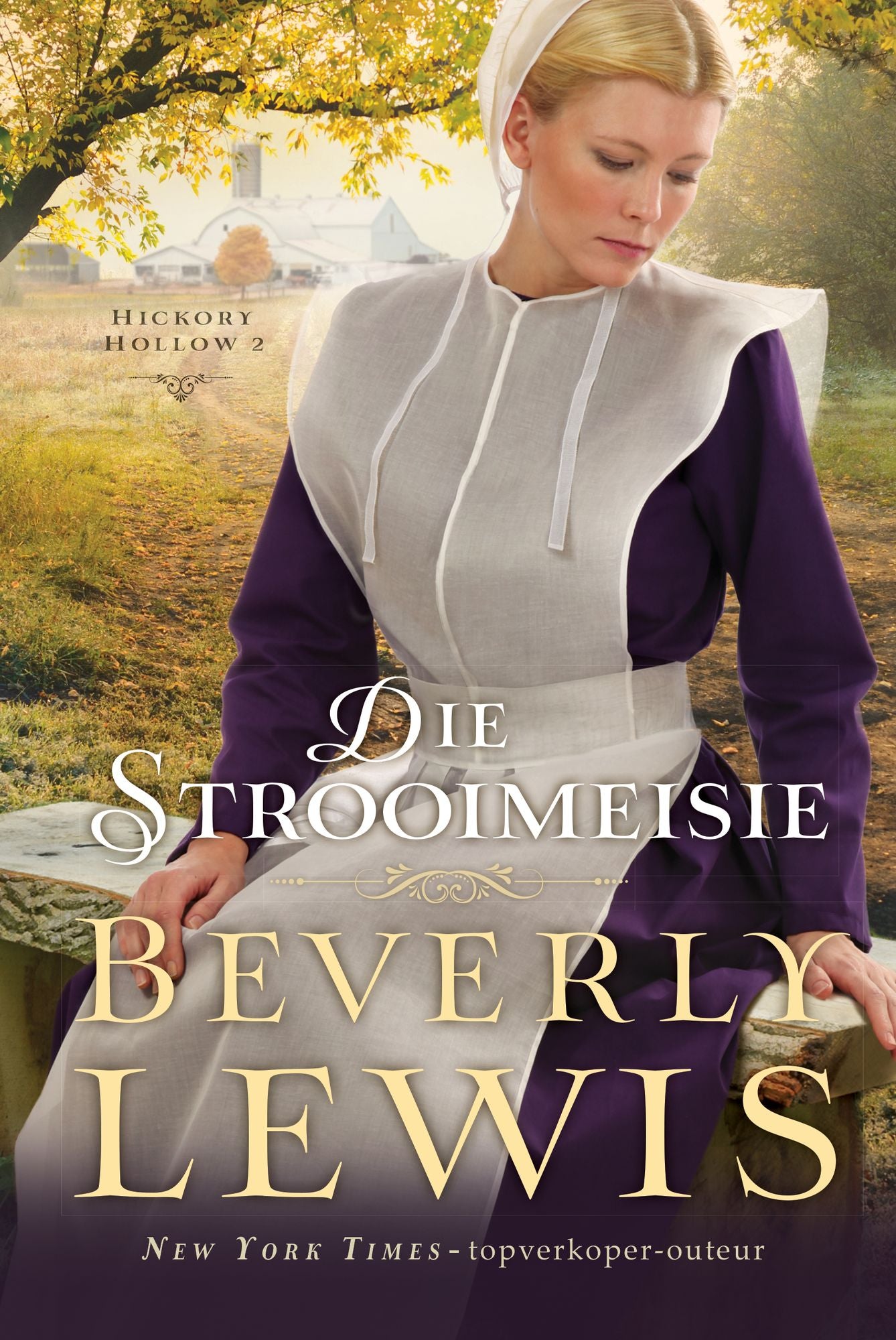 Die strooimeisie (eBoek)