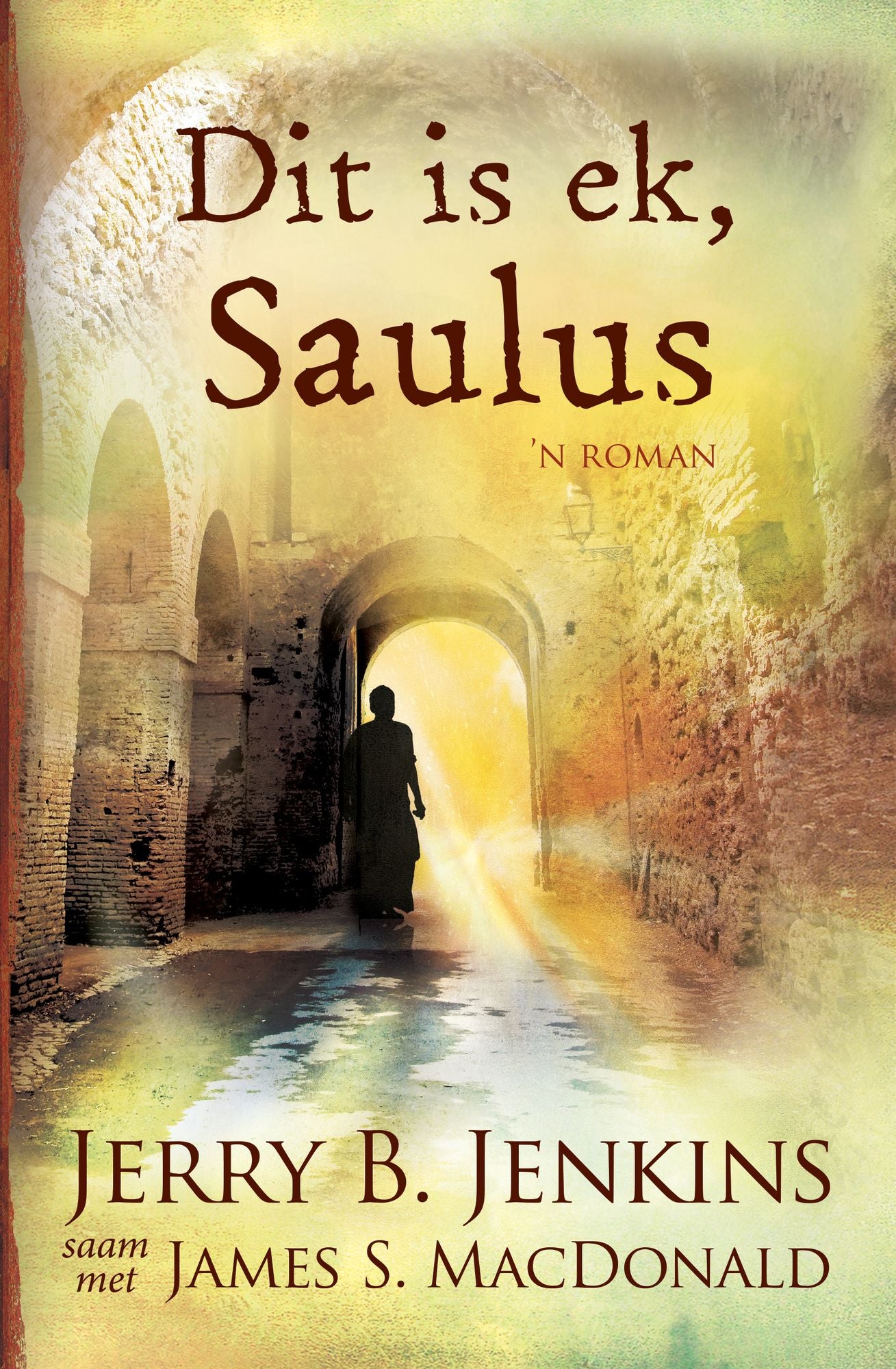 Dit is ek, Saulus (eBoek)