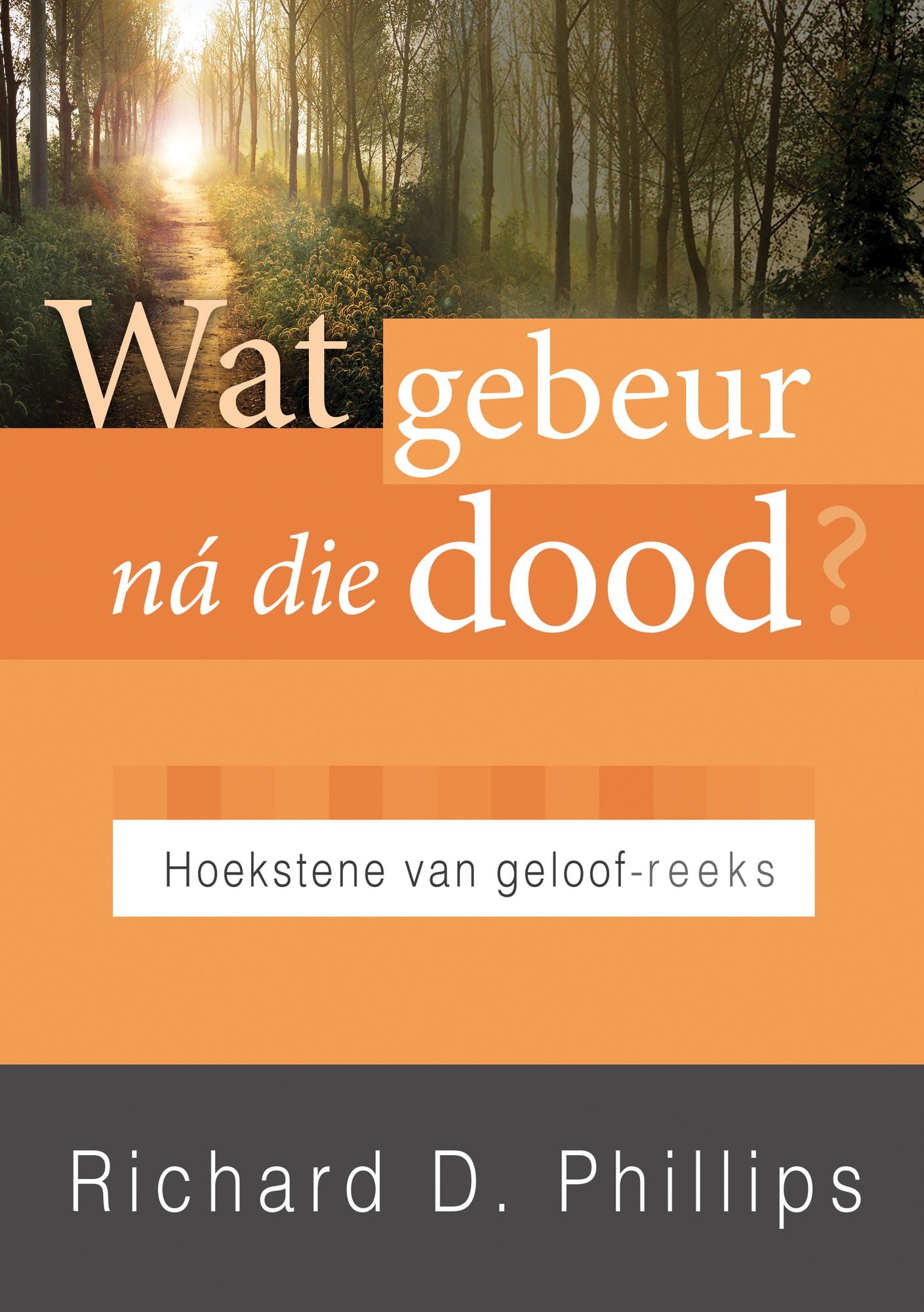 Wat gebeur na die dood? (eBoek)