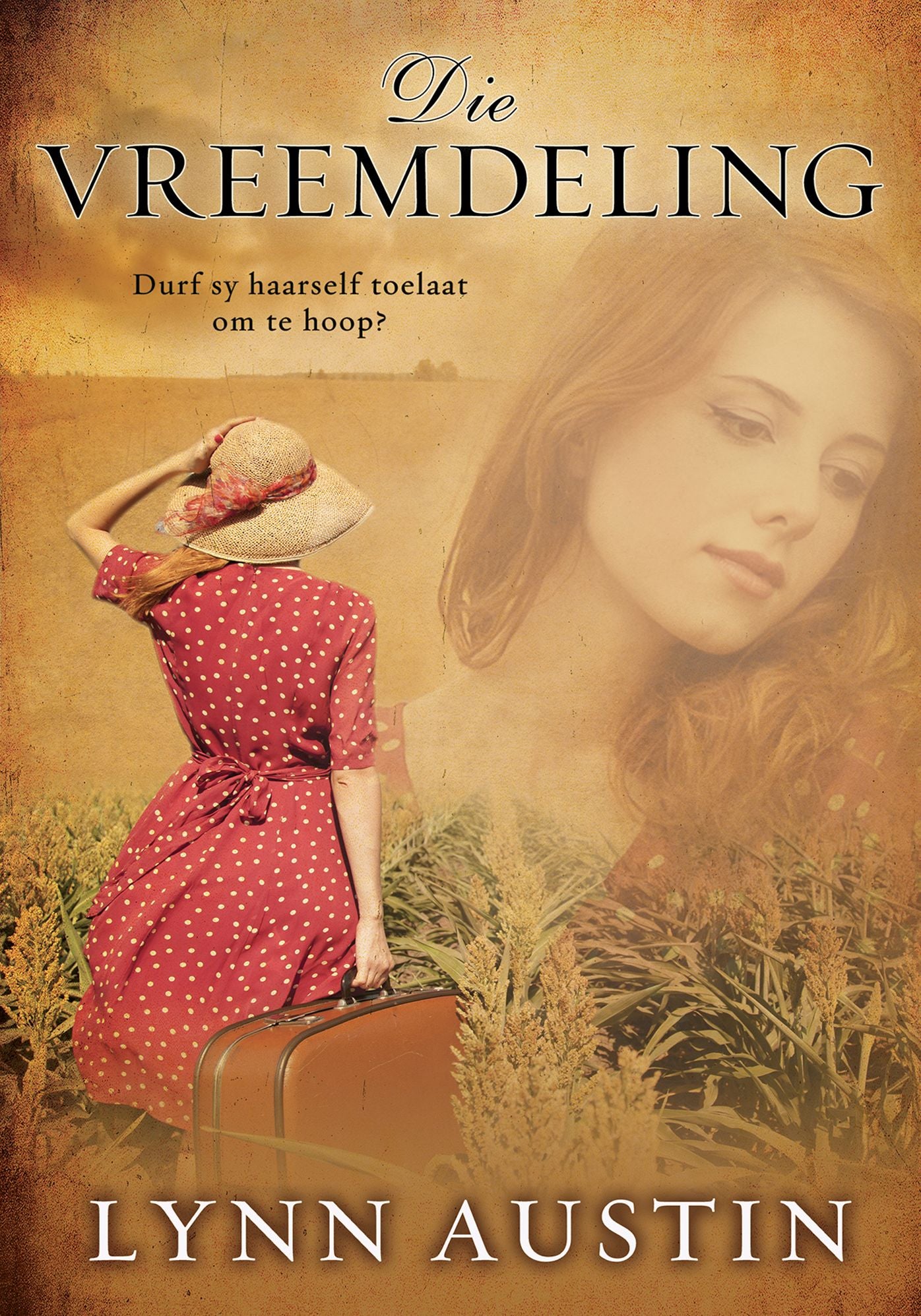 Die vreemdeling (eBoek)
