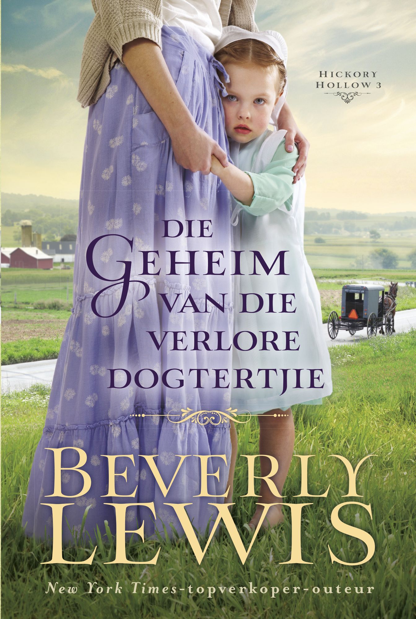 Die geheim van die verlore dogtertjie (eBoek)
