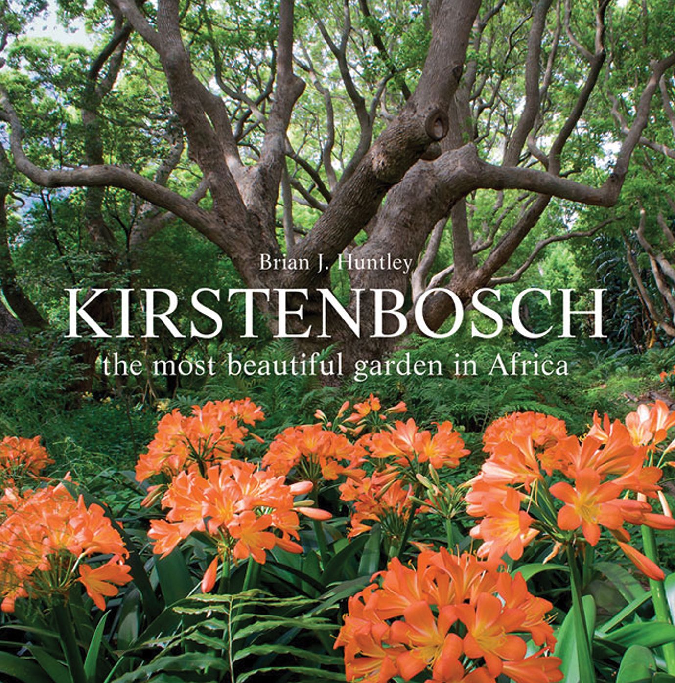 Kirstenbosch: The Most Beautiful Garden in Africa