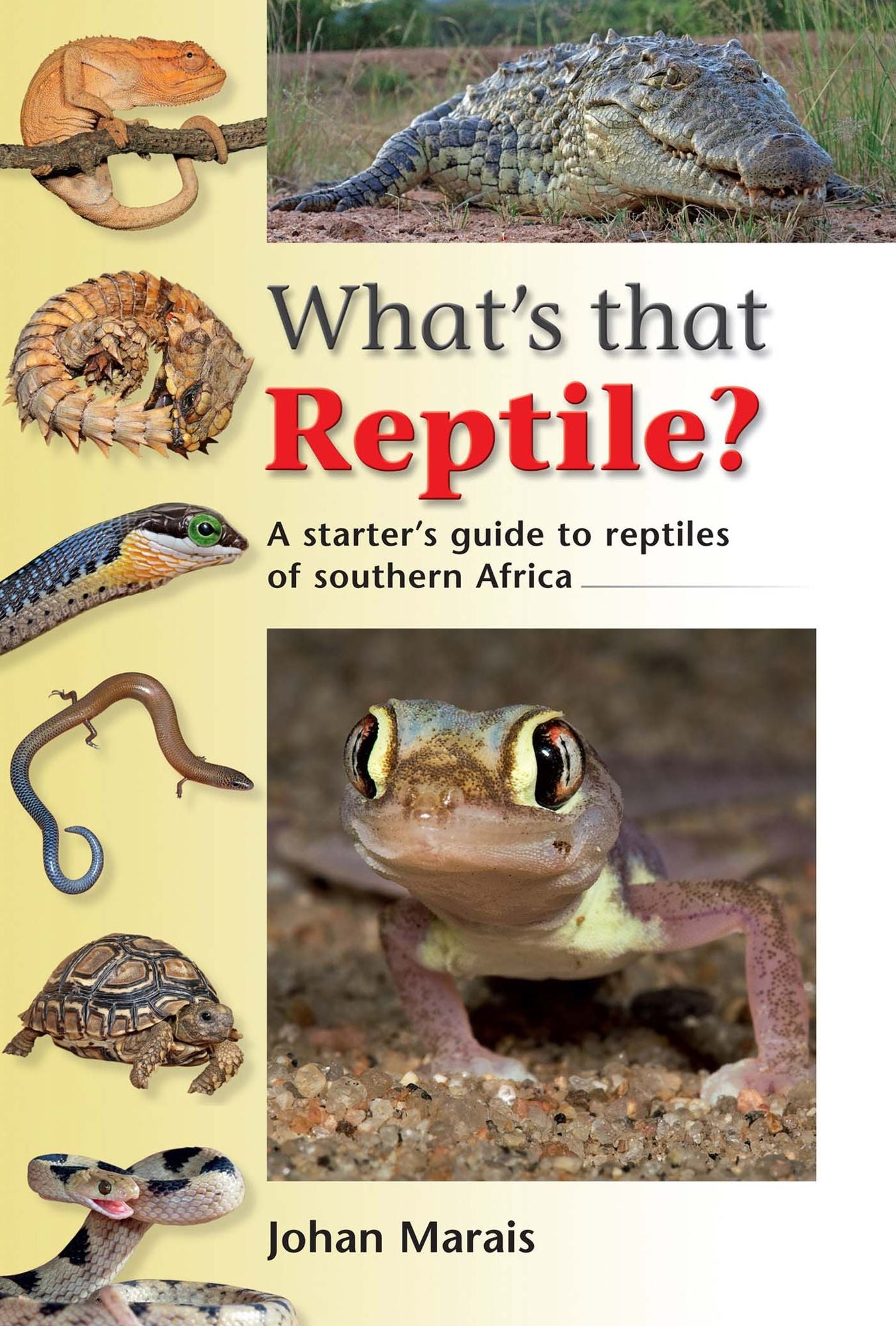 What's that Reptile?: A starter's guide to reptiles of southern Africa