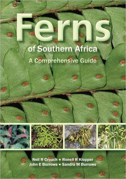 Ferns of Southern Africa: A Comprehensive Guide (PVC): A Comprehensive Guide