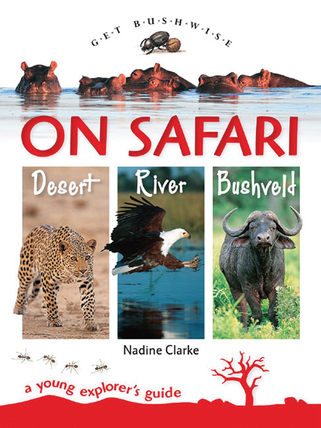 Get Bushwise: On Safari Desert, River, Bushveld: A Young Explorer's Guide
