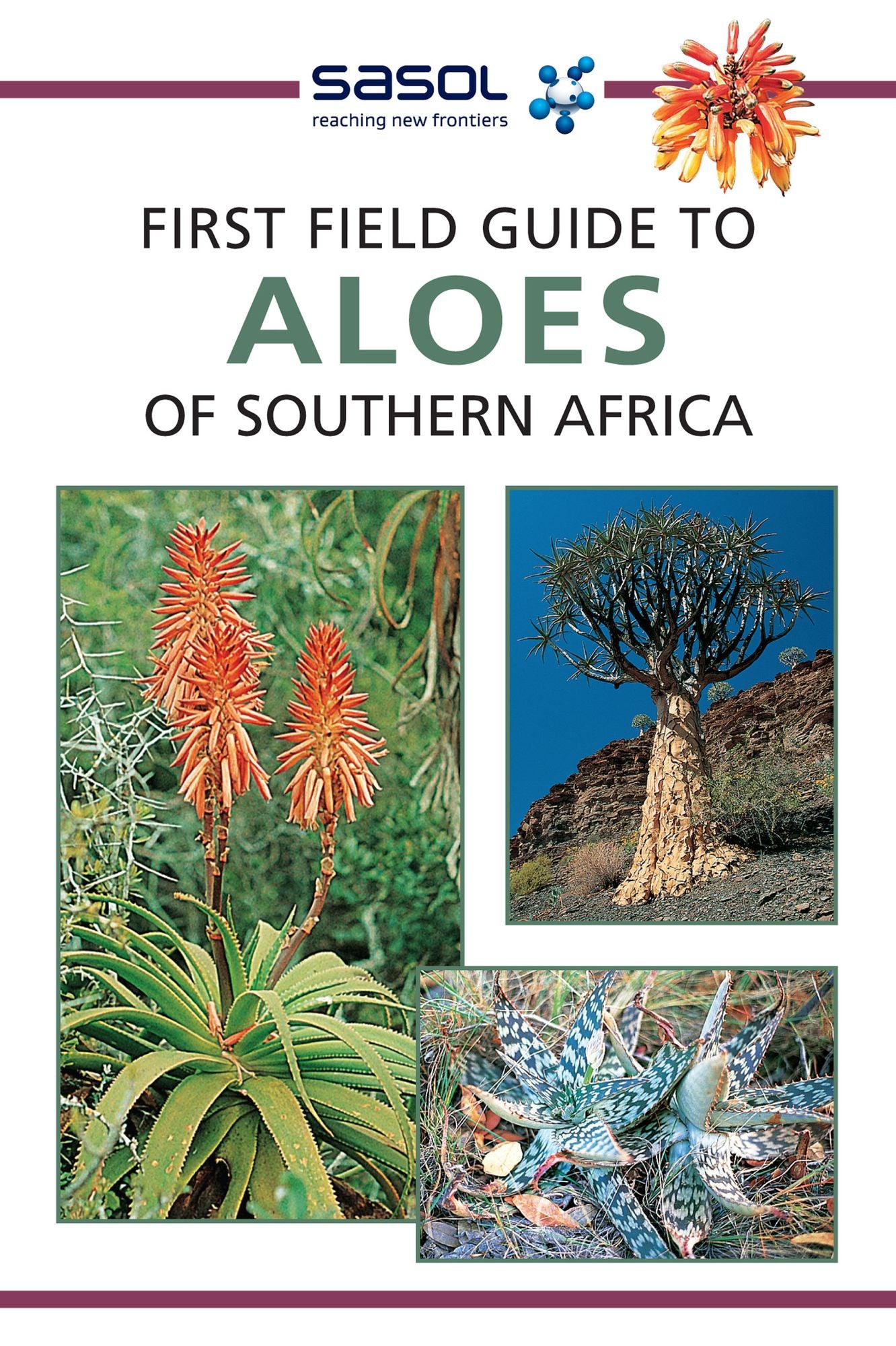 First Field Guide to Aloes of Southern Africa
