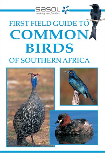 First Field Guide to Common Birds of Southern Africa