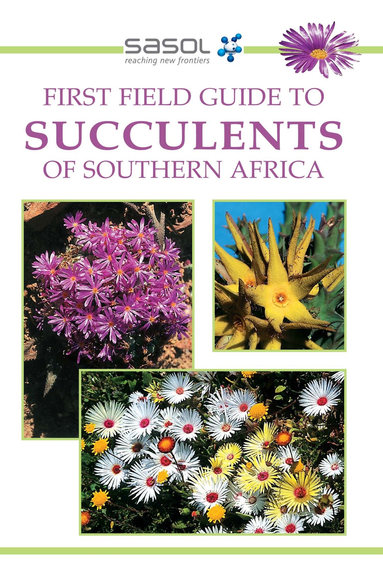 First Field Guide to Succulents of Southern Africa