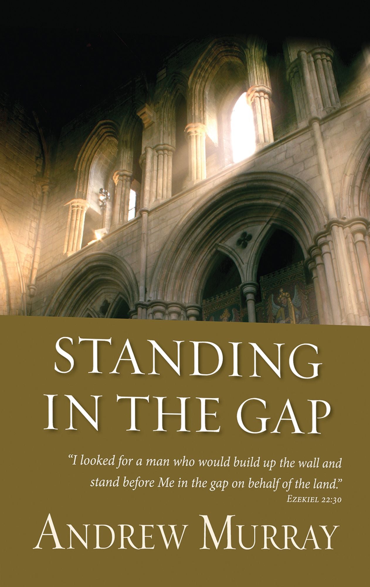 Standing in the Gap (eBook)