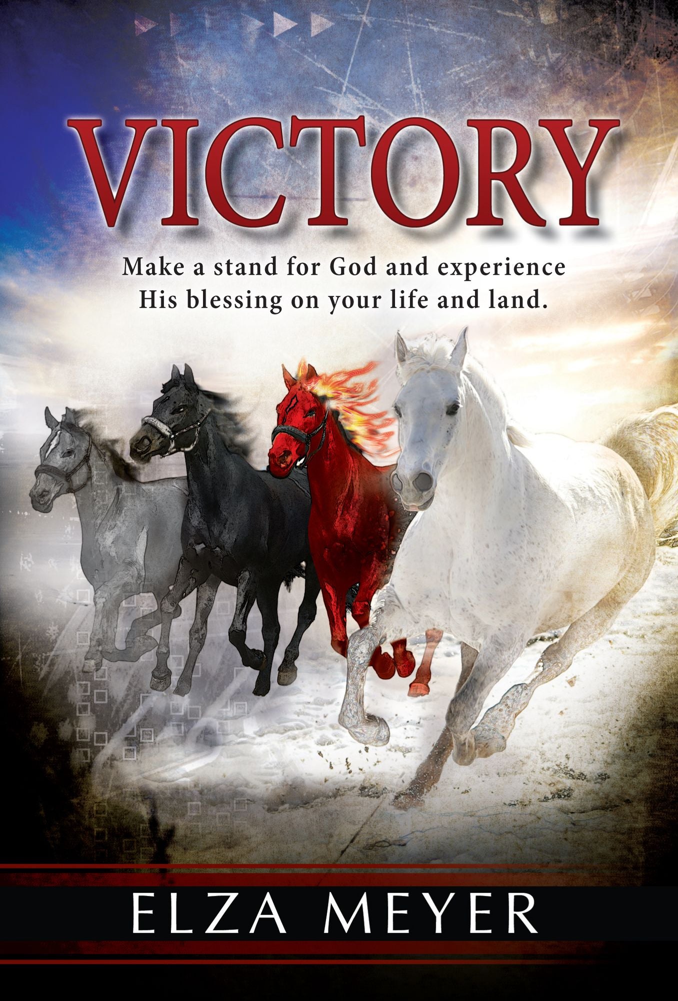 Victory (eBook): Make a stand for God and experience His blessing on your life and land
