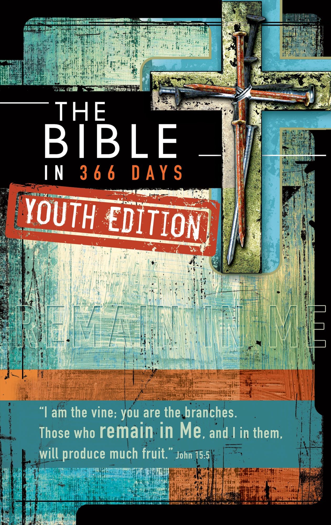 The Bible in 366 Days - Youth Edition (PagePerfect NOOK Book)