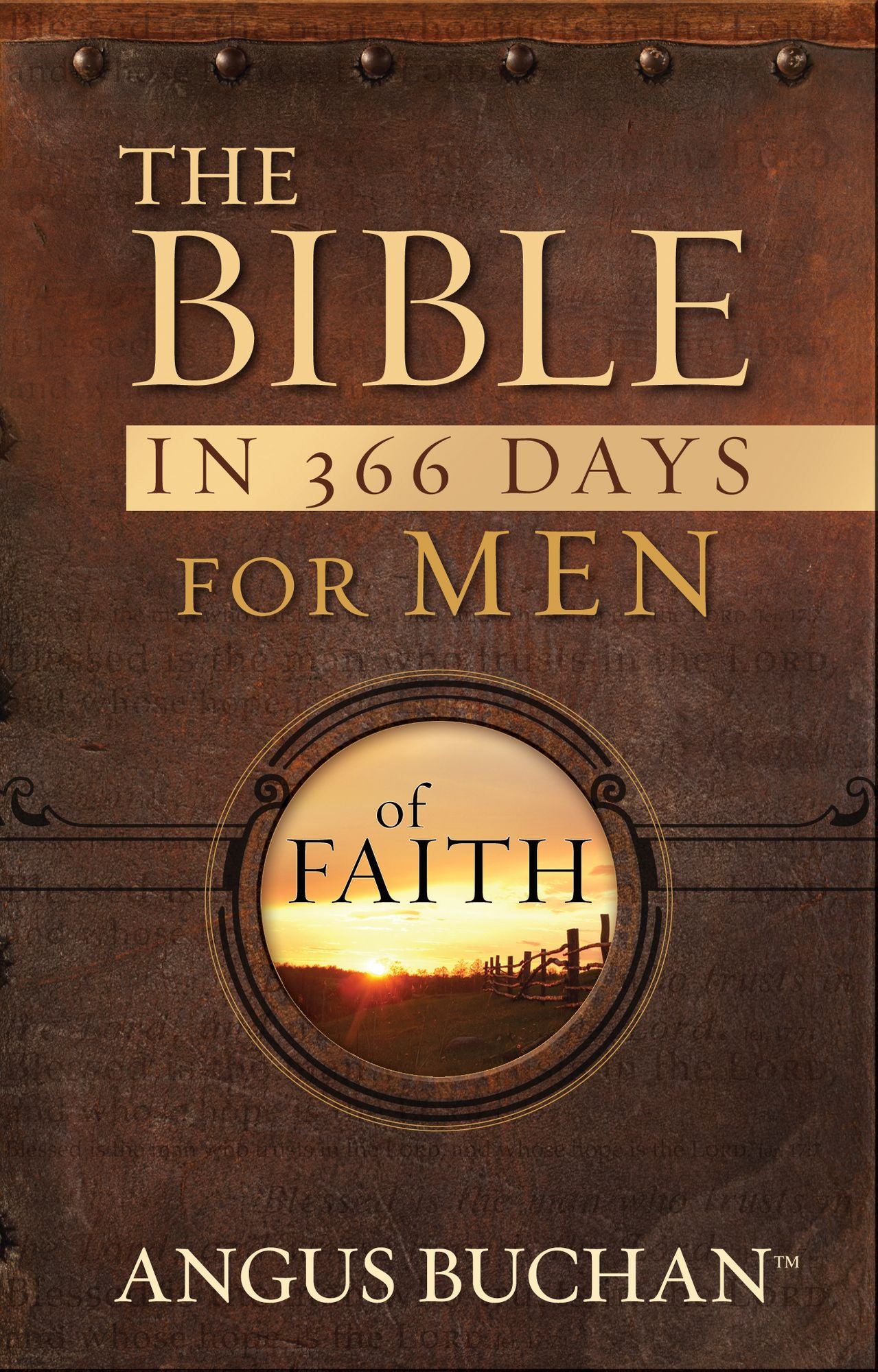 The Bible in 366 Days for Men of Faith (PagePerfect NOOK Book)