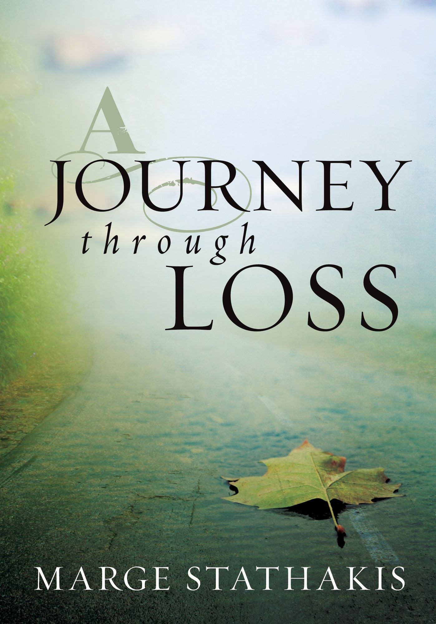 A Journey through Loss (eBook)