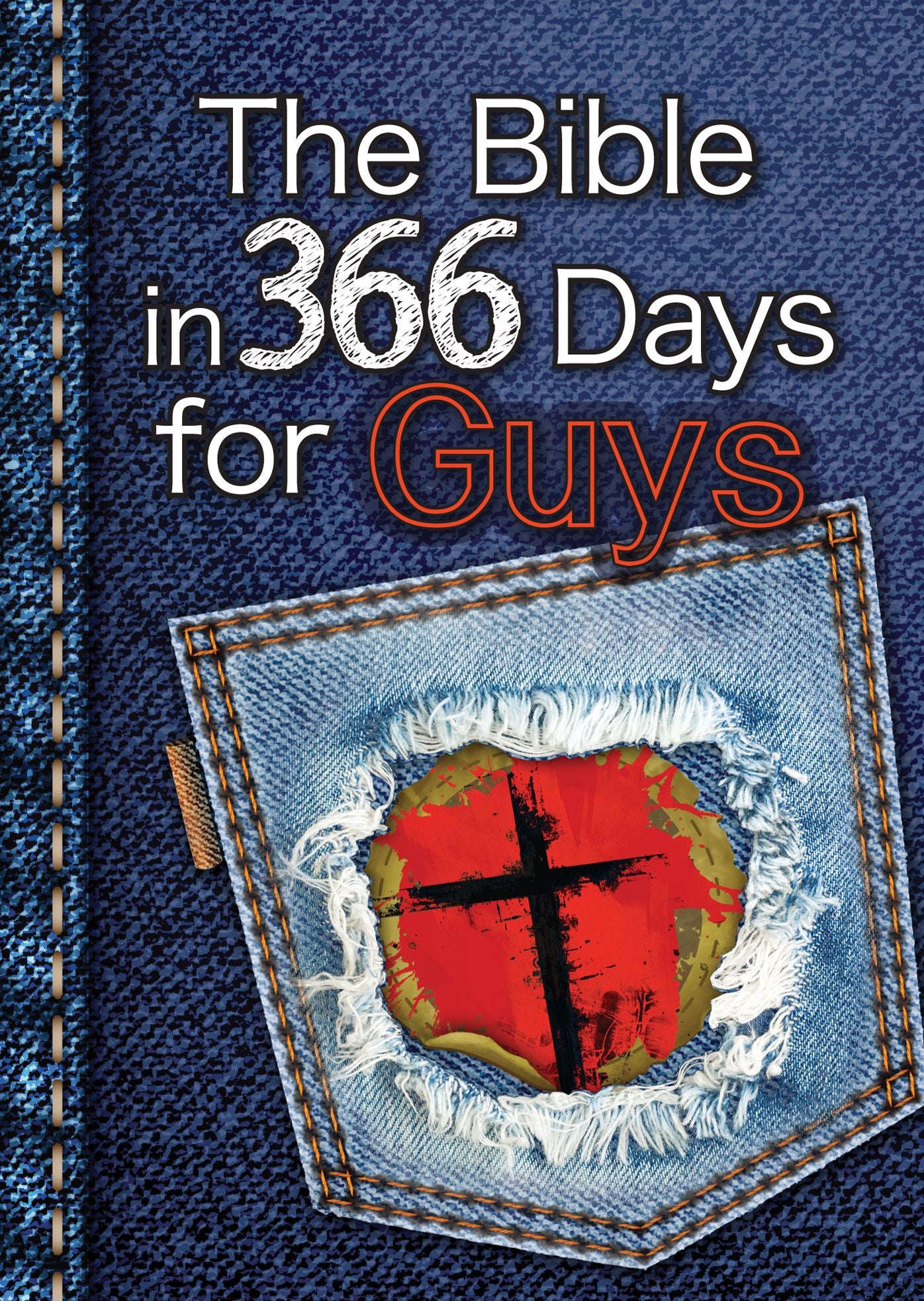 The Bible in 366 Days for Guys (eBook)