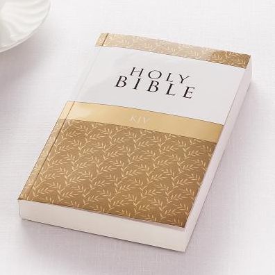 KJV Bible Outreach (Softcover, Gold)