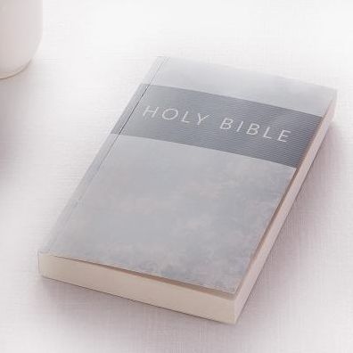 KJV Bible Outreach (Softcover, Silver)