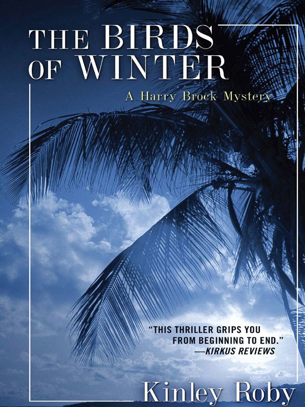 Birds of Winter