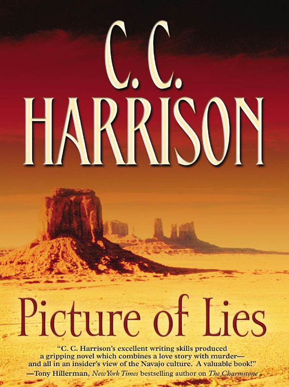Picture of Lies