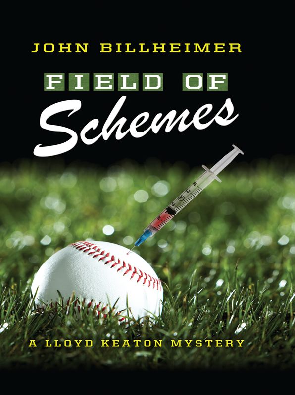 Field of Schemes