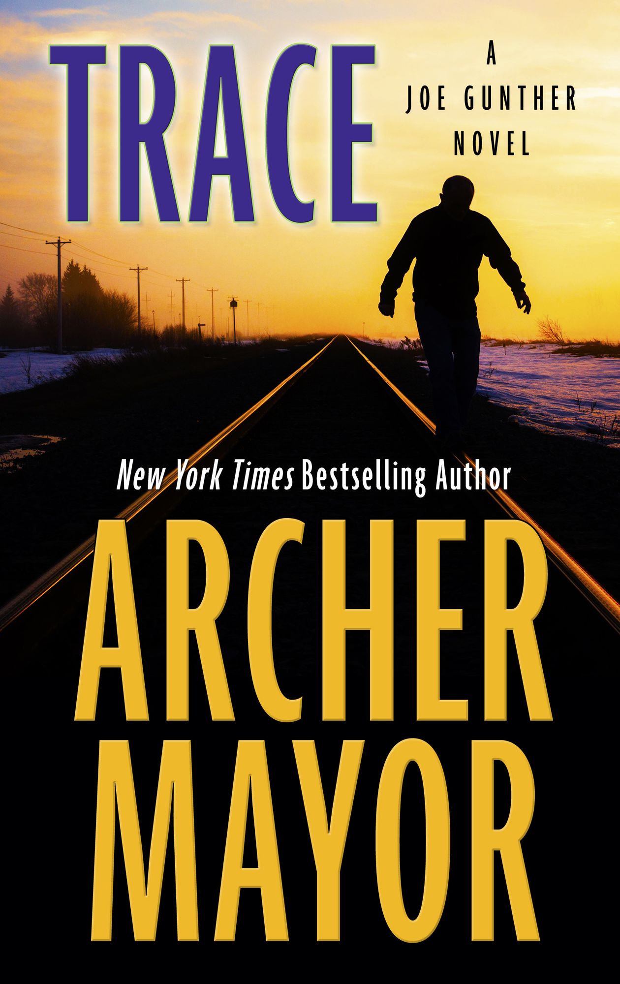 Trace (Joe Gunther Series #28)