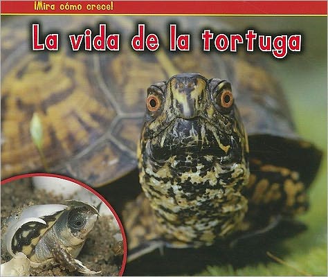 La Vida de la Tortuga