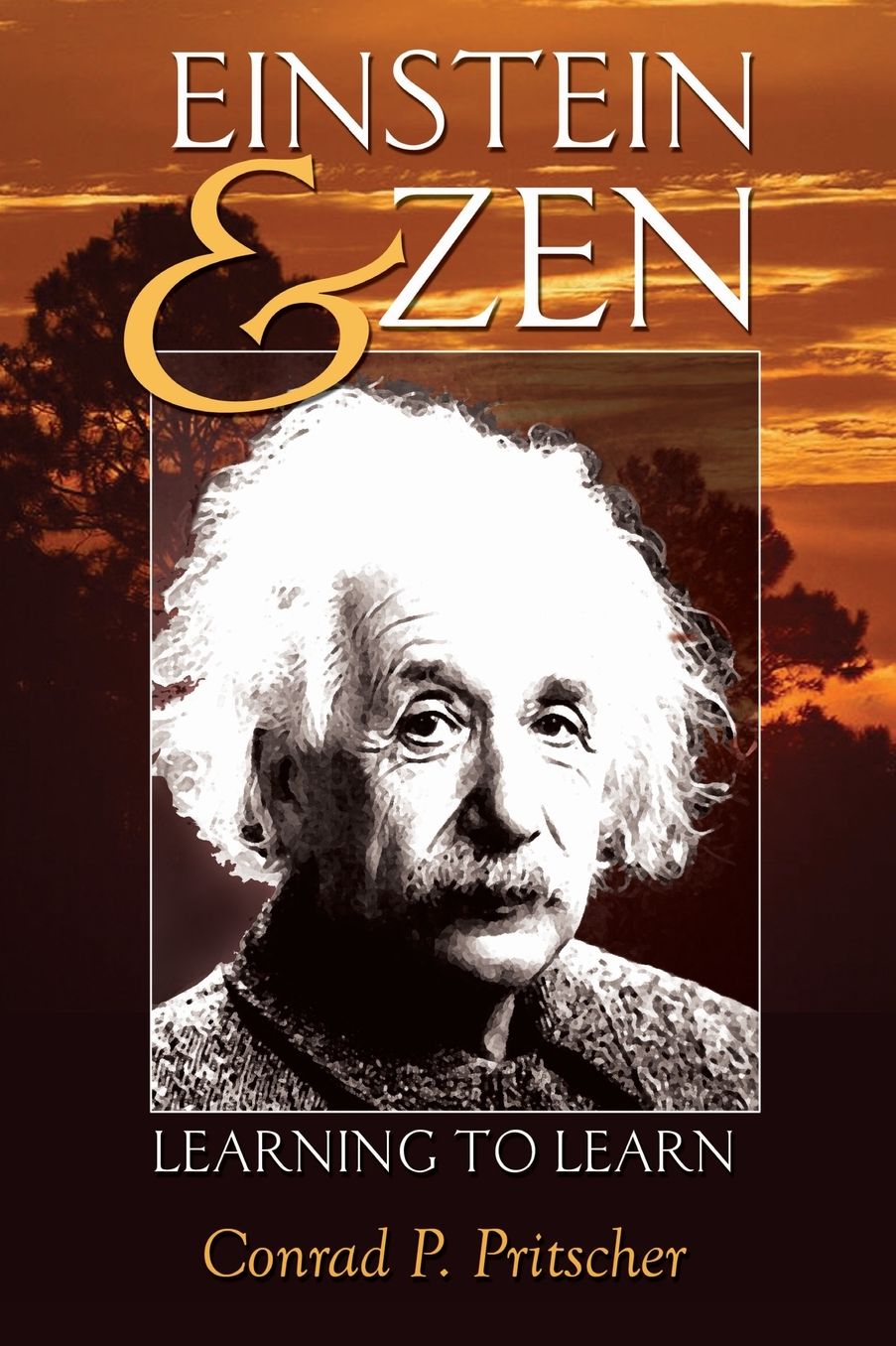 Einstein and Zen: Learning to Learn