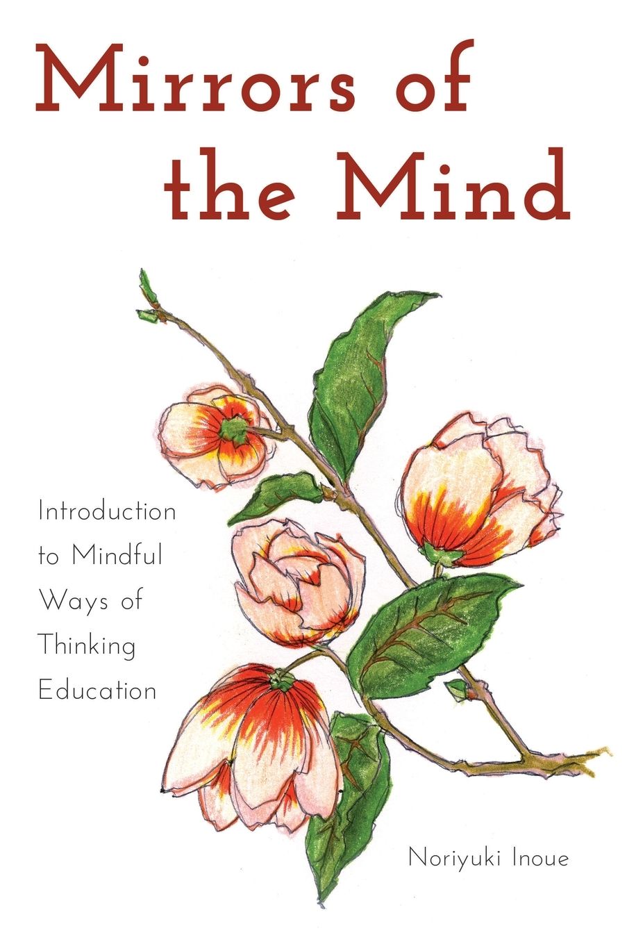 Mirrors of the Mind: Introduction to Mindful Ways of Thinking Education