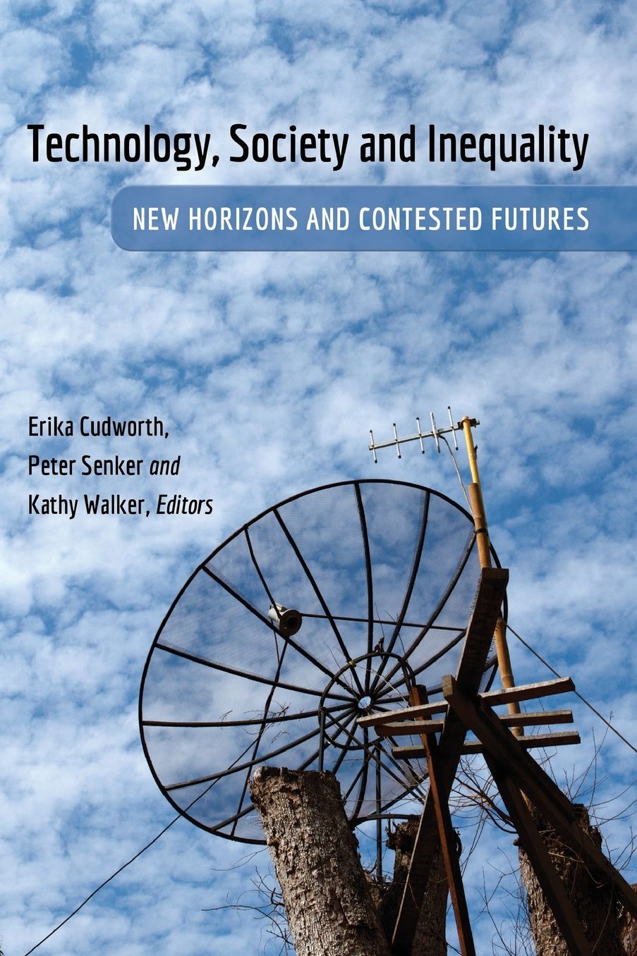 Technology, Society and Inequality: New Horizons and Contested Futures