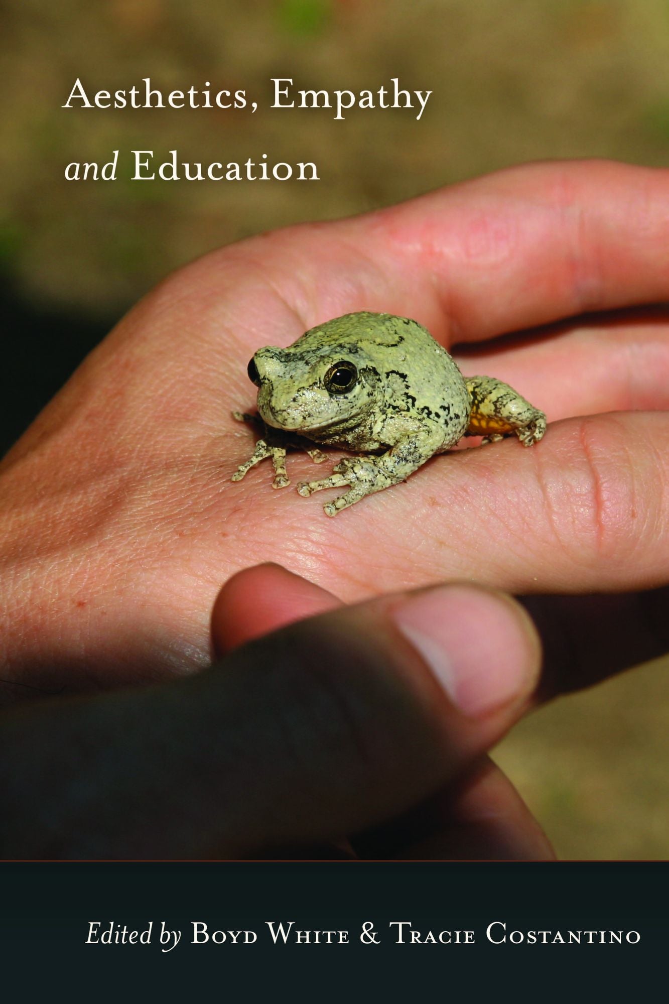 Aesthetics, Empathy and Education